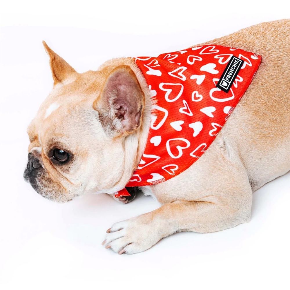 FRENCHIE COOLING BANDANA - HOT LIPS